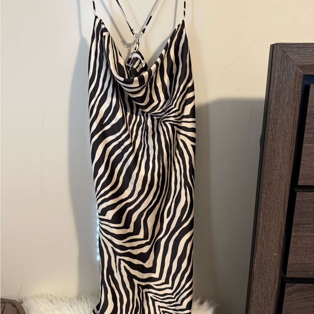 Zara Black and White Zebra Print Mini Dress